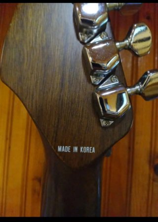 Fender Newporter Guitarra Acústica