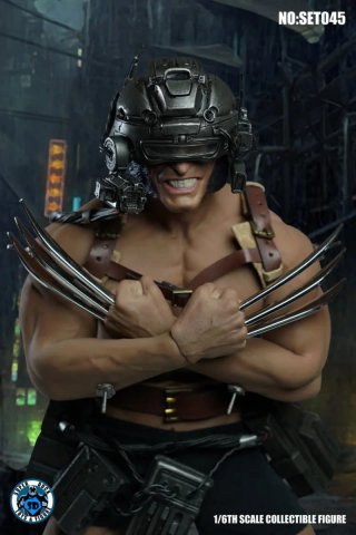 Wolverine Weapon X Super Duck 1/6 SET045