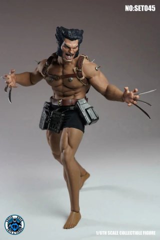 Wolverine Weapon X Super Duck 1/6 SET045
