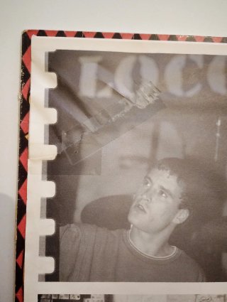 Vinilo Flowered Up - A Life With Brian, 1991