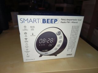 Reloj Despertador Radio Dual Xsquo