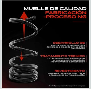 Muelles Suspensión Frankberg Audi A3 8P Traseros
