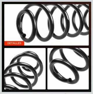 Muelles Suspensión Frankberg Audi A3 8P Traseros