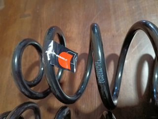 Muelles Suspensión Frankberg Audi A3 8P Traseros