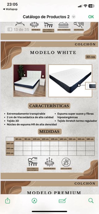 Canapé Abatible con Colchón
