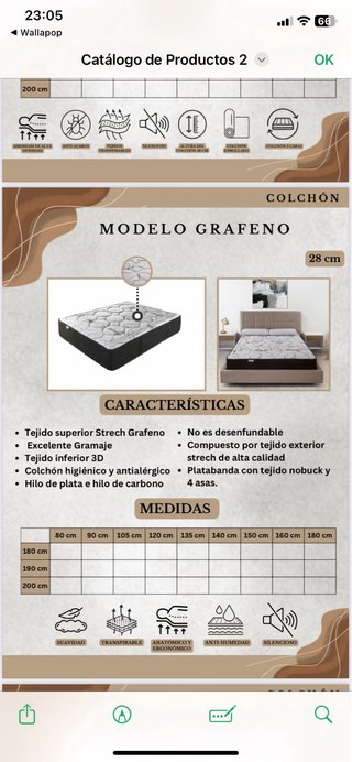 Canapé Abatible con Colchón