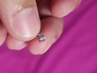 Colgante ámbar con insecto