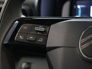 Citroen Berlingo BlueHDi 100 SANDS Plus Talla XL 75 kW (102 CV)
