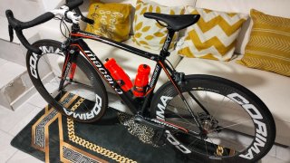 Bicicleta Macario carbono, regalo calas