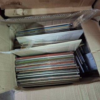 Lote de más de 1500 vinilos