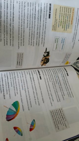 Lengua castellana y literatura 3 Saberes básico...