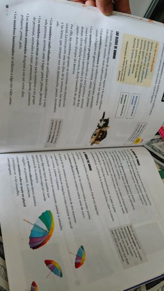 Lengua castellana y literatura 3 Saberes básico...