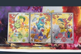 3 Cartas Pokémon Chikorita, Totodile, Cyndaquil