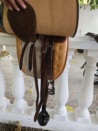 Montura Española Ludomar