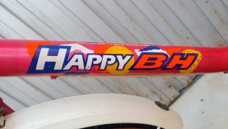 Bicicleta Infantil BH Happy