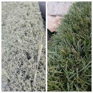 Césped artificial reciclado