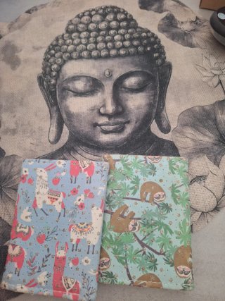 Dos monederos con dibujos