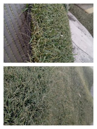 Césped artificial reciclado