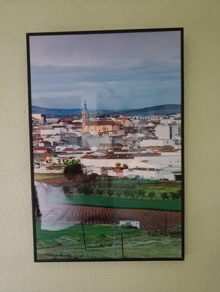 Se venden por unidad