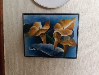 Se venden por unidad