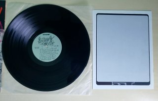 Sonic Youth - Evol LP 33 Giri