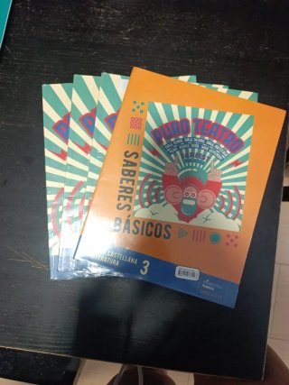 Lengua castellana y literatura 3 Saberes básico...