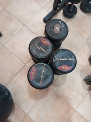 Mancuernas 25 kg (Ortus Fitness)