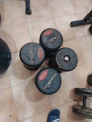 Mancuernas 27.5 kg (Ortus Fitness)