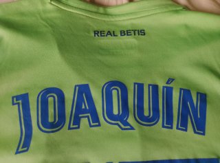 Camiseta Real Betis Joaquín 17 Talla L