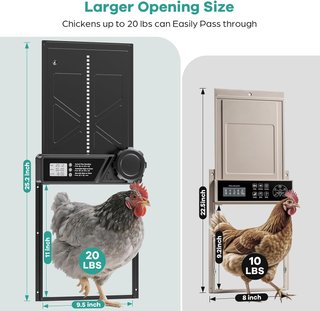 Puerta Automática Gallinero a Pilas