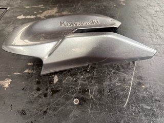 Tapa depósito izquierda Kawasaki Z 900 2019