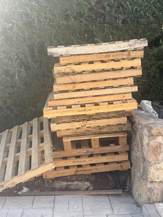 Palets de madera (varios)