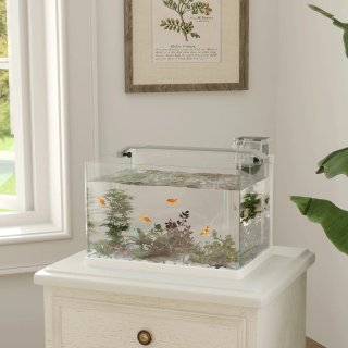 Acquario in Vetro da 20L con LED Filtro e Pompa