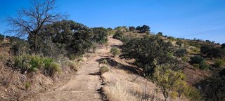 Terreno en venta en Pizarra