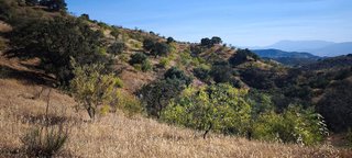 Terreno en venta en Pizarra