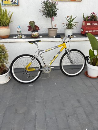 Bicicleta de montaña amarilla y plateada