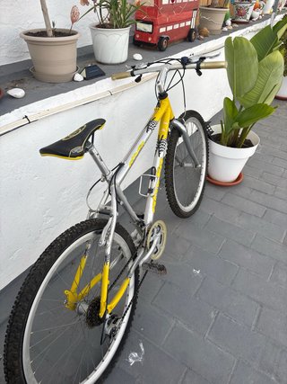 Bicicleta de montaña amarilla y plateada
