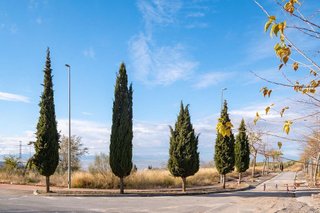 Terreno en venta en Alfacar