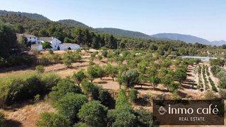 Terreno en venta en Biar