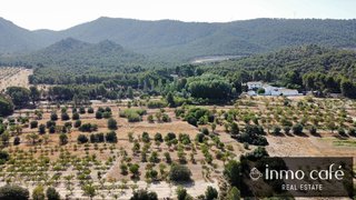 Terreno en venta en Biar