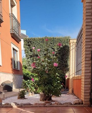 Chalet en venta en Zona Norte - Nueva Valdepeñas en Valdepeñas