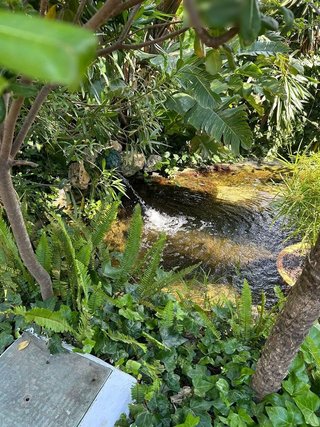 Piso en alquiler en Cabo Pino - Reserva de Marbella en Marbella