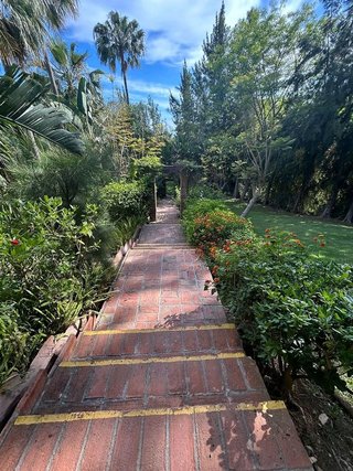 Piso en alquiler en Cabo Pino - Reserva de Marbella en Marbella