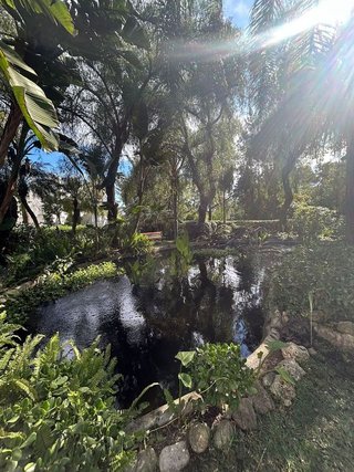 Piso en alquiler en Cabo Pino - Reserva de Marbella en Marbella