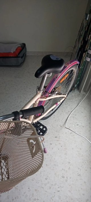 Bicicleta niña 20 Btwin