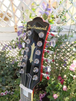 Guitarra 12 cuerdas - Dearmond S73