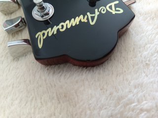 Guitarra 12 cuerdas - Dearmond S73