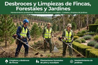 Desbroces de fincas y mantenimiento de jardines