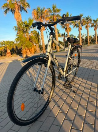 Bicicleta urbana y carretera plateada