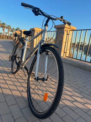 Bicicleta urbana y carretera plateada